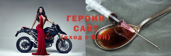 прущие грибы Ельня