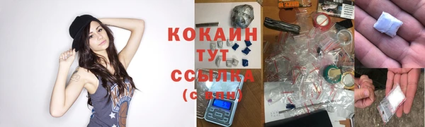 молекула духа Михайлов