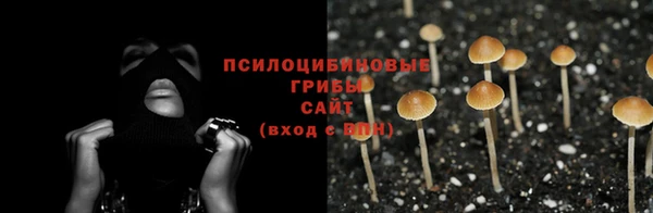 скорость Богданович