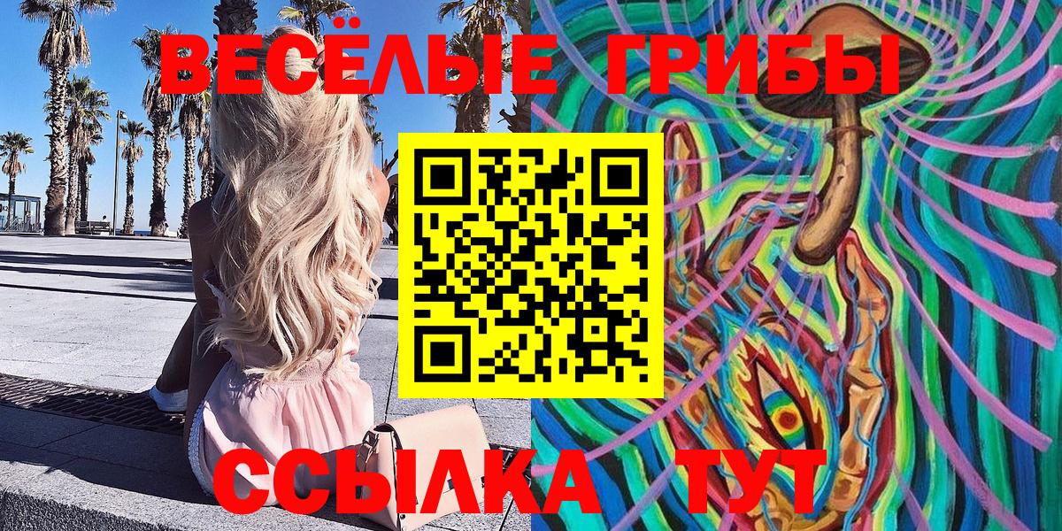 Псилоцибиновые грибы GOLDEN TEACHER Карасук